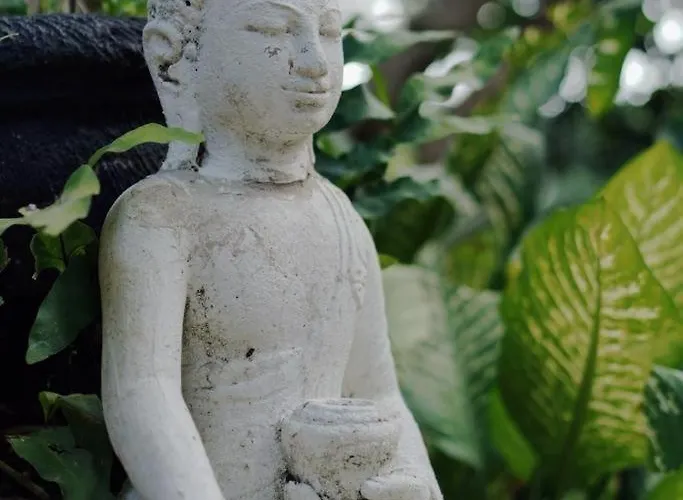 Sattva Garden House イン